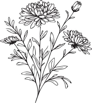 Detailed flower coloring pages, sketch contour bouquet of aster flowers, Sketch aster flower drawing, flower cluster drawing, Easy flowers coloring pages, september birth coloring pages for adult vector