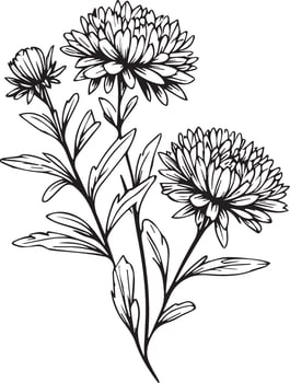 Unique flower coloring pages, Hand-drawn vector illustration of a garden variety of aster cosmos and outline illustration, aster Flowers Wall Decor, aster flower art print
