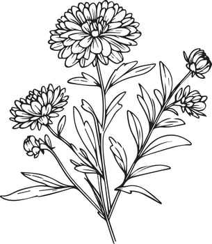 Set of a decorative stylized aster flower isolated on white background. Highly detailed vector illustration, september birth flower wall decor