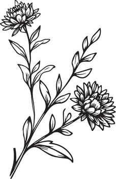 Single line drawing of beauty fresh aster for home wall art decor. Printable poster decorative sword aster flower concept. Modern line drawing aster flower design vector illustration