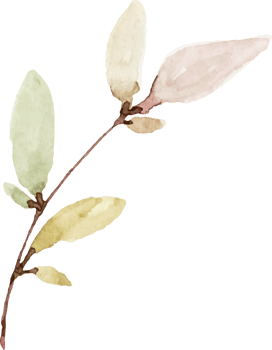 Watercolor Leaves Branches png