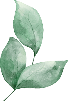 Watercolor Green Leaf png