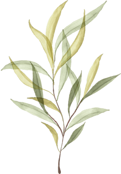 Watercolor Green Leaves Branches png