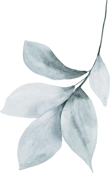 Watercolor Green Leaves Elements png