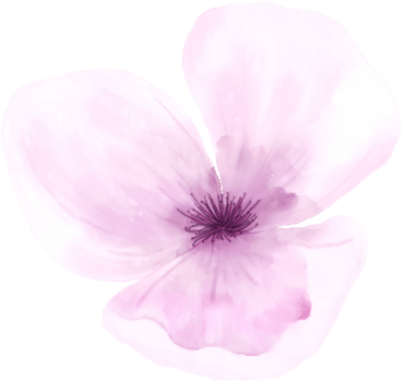 Watercolor Flowers Elements png