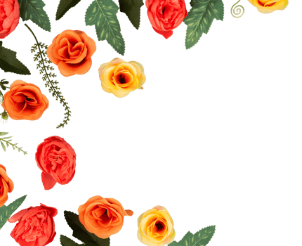 set of roses border frames png
