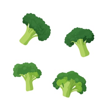 Delicious fresh broccoli, isolated on white background vector