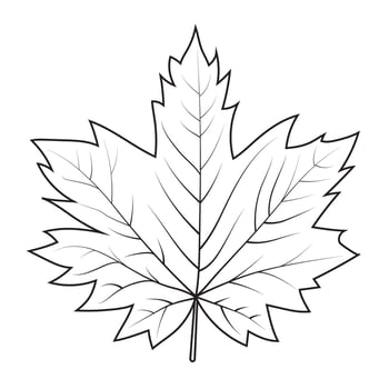 Contour drawing of a maple leaf. Autumn leaf vector