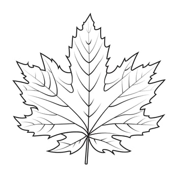 Contour drawing of a maple leaf. Autumn leaf vector