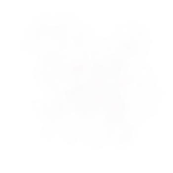 Abstract White Smoke png