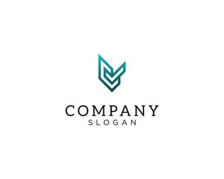 Letter BV or VB logo vector