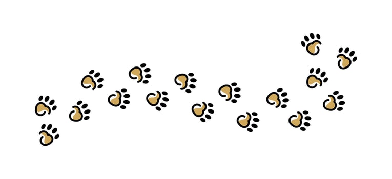 Vector design of cute wild animal footprints, footprints of lion, tiger, dog, cat on white background