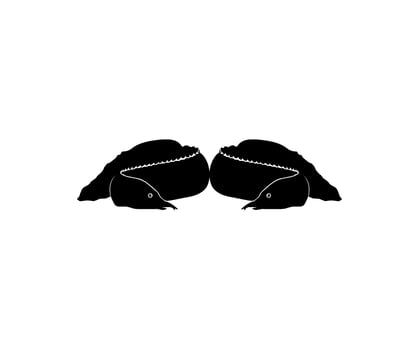 Silhouette of the fire eel, Mastacembelus erythrotaenia, is a relatively large species of spiny eel, can use for art Illustration, logo type, pictogram, website, or graphic design element. Vector