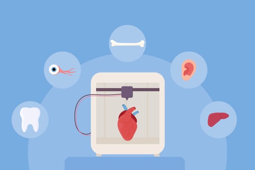 Set 3d printing, bioprinting, artificial organs, prosthetics, synthetic. Liver, arm, ear, eye, bone, heart. vector
