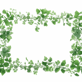 Vine Border PNG Transparent Background Ai Generative