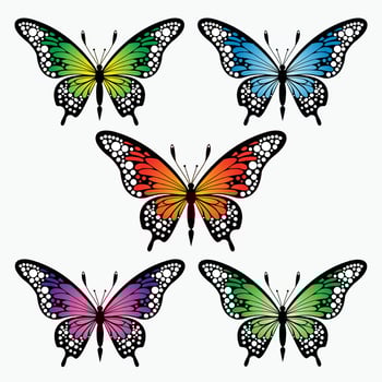 Monarch butterflies set. Vector illustration isolated on white background