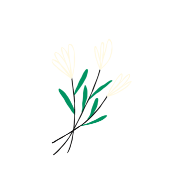 Linear white spring flower. illustration in modern doodle style png