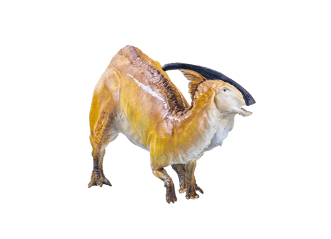 Parasaurolophus  dinosaur isolated background png
