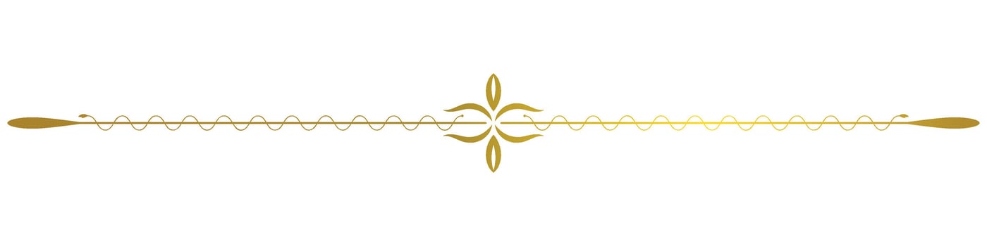 vintage lines decorative elements Golden flower border collection vector