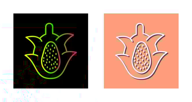 Dragon Fruit Vector Icon