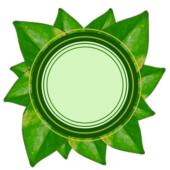 Christmas background with green leaf and circle shapes png