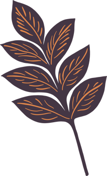 Simplicity autumn leaf freehand drawing png