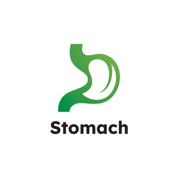 Stomach with leaf Logo Vector Design Template, Creative stomach Symbol