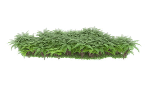 Realistic forest isolated on transparent background. 3d rendering - illustration png