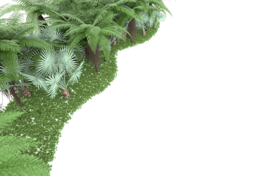 Realistic forest isolated on transparent background. 3d rendering - illustration png