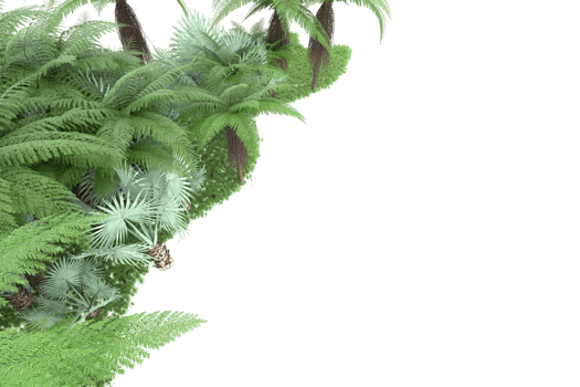 Realistic forest isolated on transparent background. 3d rendering - illustration png