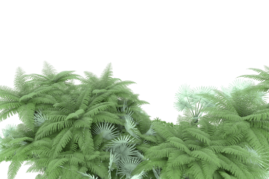 Realistic forest isolated on transparent background. 3d rendering - illustration png