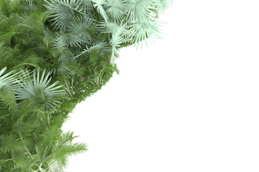 Realistic forest isolated on transparent background. 3d rendering - illustration png