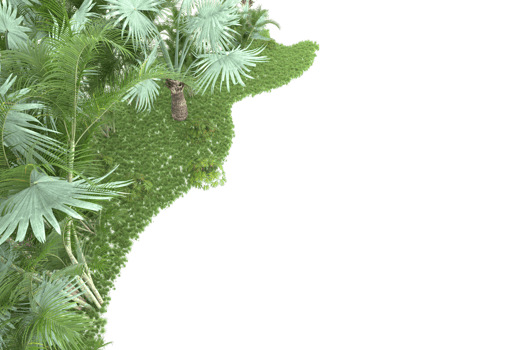 Realistic forest isolated on transparent background. 3d rendering - illustration png