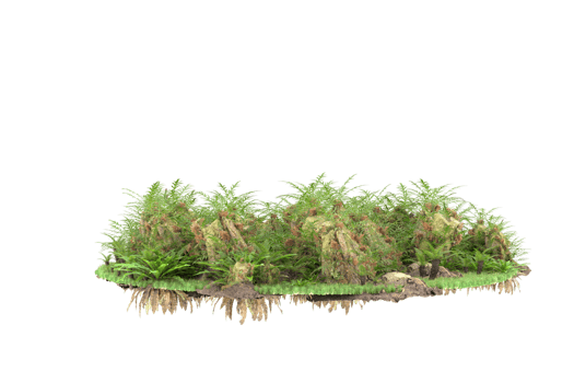 Realistic forest isolated on transparent background. 3d rendering - illustration png
