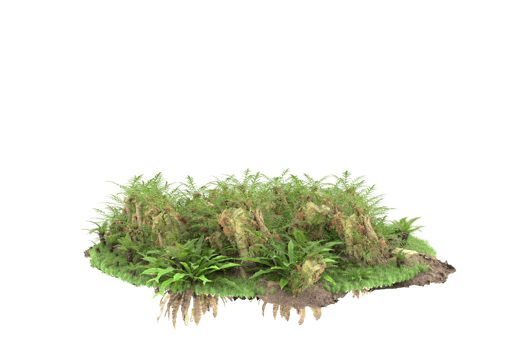 Realistic forest isolated on transparent background. 3d rendering - illustration png