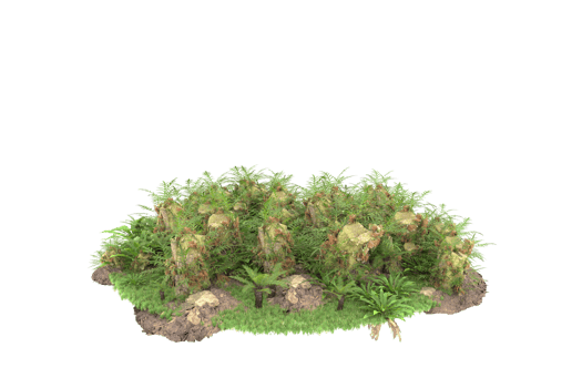 Realistic forest isolated on transparent background. 3d rendering - illustration png