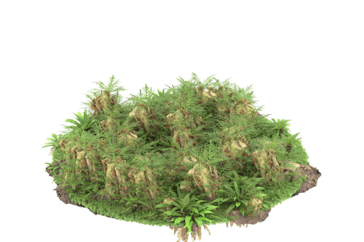 Realistic forest isolated on transparent background. 3d rendering - illustration png