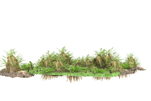 Realistic forest isolated on transparent background. 3d rendering - illustration png
