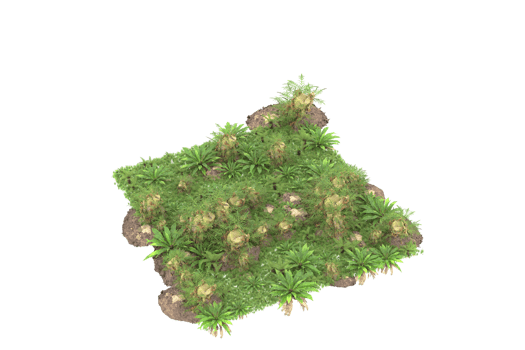 Realistic forest isolated on transparent background. 3d rendering - illustration png