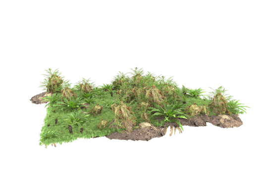 Realistic forest isolated on transparent background. 3d rendering - illustration png