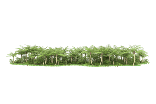 Realistic forest isolated on transparent background. 3d rendering - illustration png