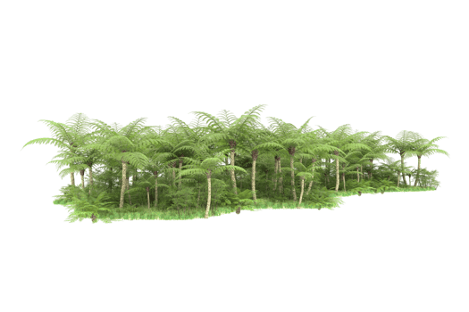 Realistic forest isolated on transparent background. 3d rendering - illustration png