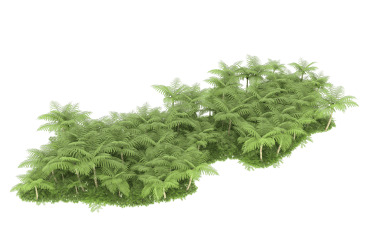 Realistic forest isolated on transparent background. 3d rendering - illustration png