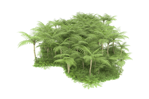 Realistic forest isolated on transparent background. 3d rendering - illustration png