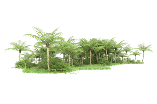 Realistic forest isolated on transparent background. 3d rendering - illustration png
