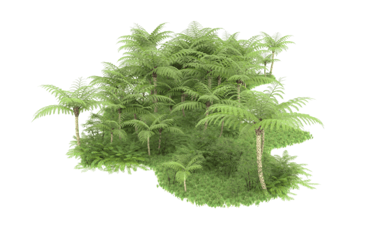 Realistic forest isolated on transparent background. 3d rendering - illustration png