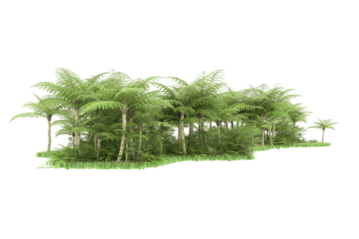 Realistic forest isolated on transparent background. 3d rendering - illustration png