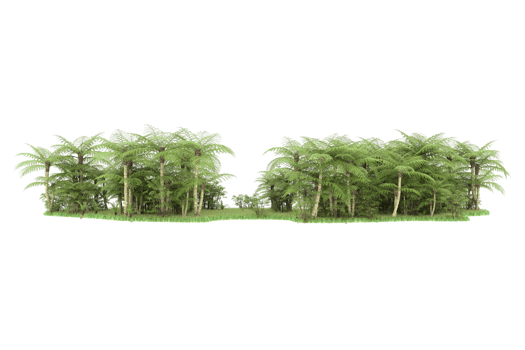 Realistic forest isolated on transparent background. 3d rendering - illustration png