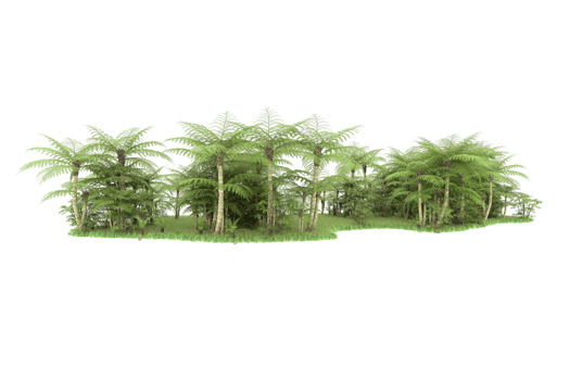 Realistic forest isolated on transparent background. 3d rendering - illustration png