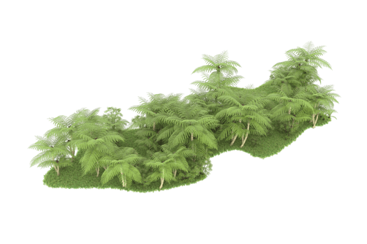 Realistic forest isolated on transparent background. 3d rendering - illustration png